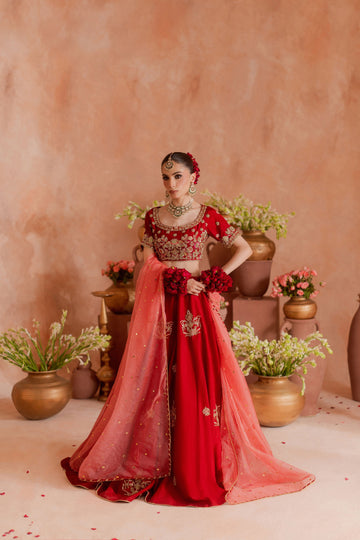 Dilruba HAND MADE
